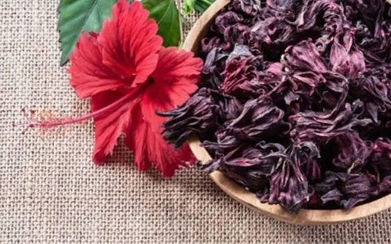 Hibiscus Dried Flower